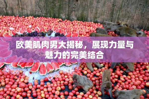 欧美肌肉男大揭秘，展现力量与魅力的完美结合