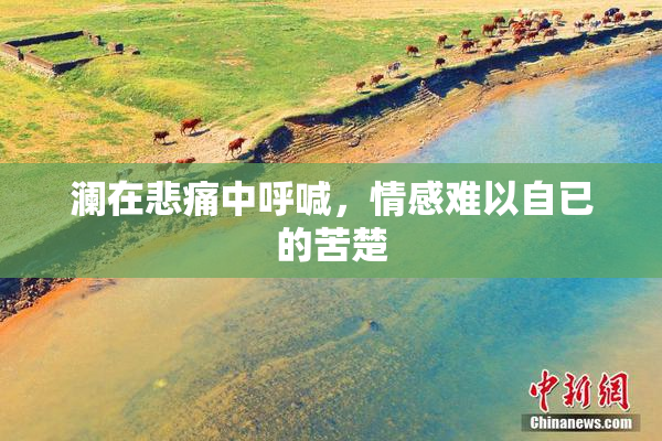 澜在悲痛中呼喊，情感难以自已的苦楚