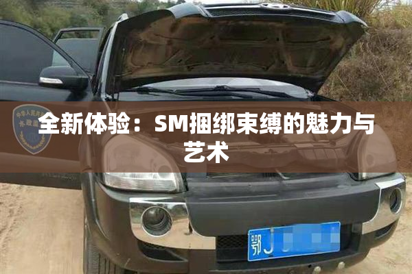 全新体验：SM捆绑束缚的魅力与艺术