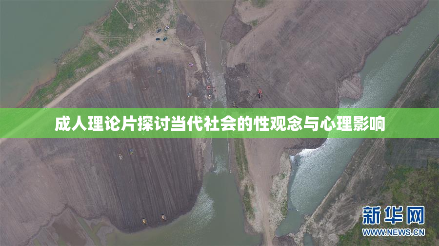 成人理论片探讨当代社会的性观念与心理影响