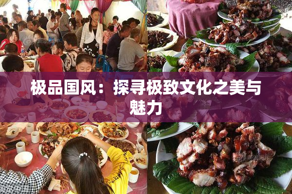 极品国风：探寻极致文化之美与魅力
