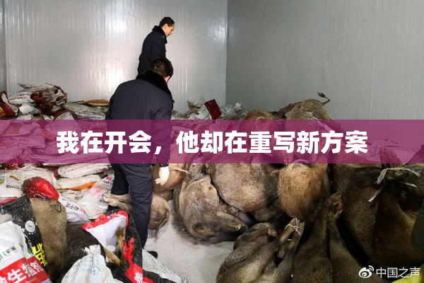 我在开会，他却在重写新方案
