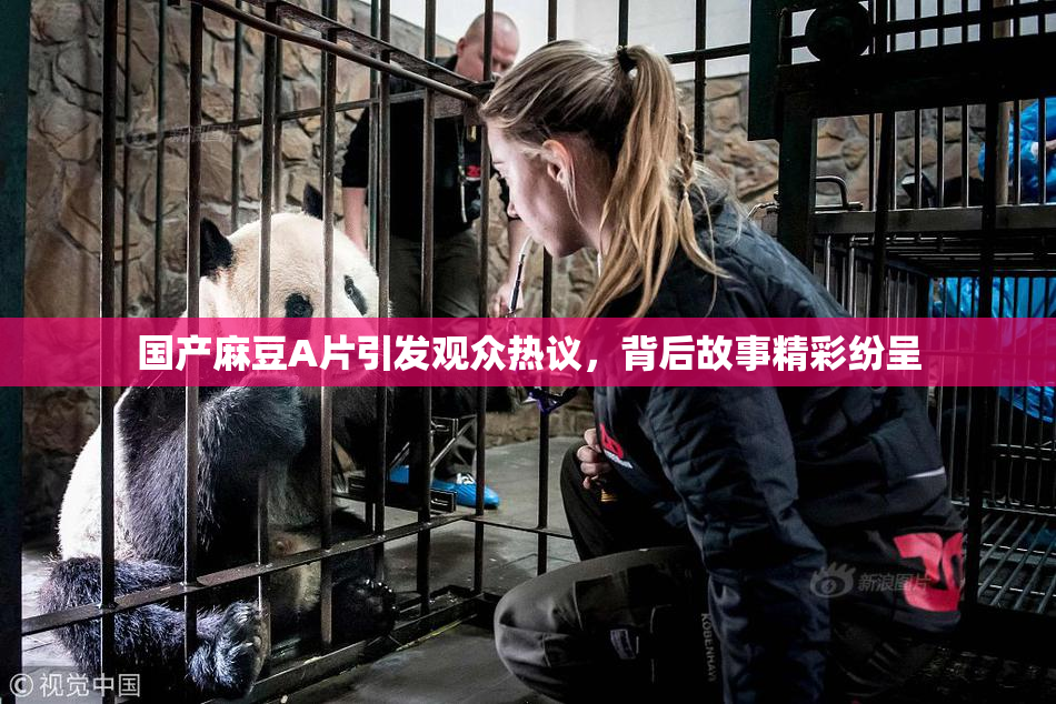国产麻豆A片引发观众热议，背后故事精彩纷呈