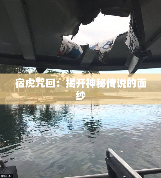 宿虎咒回：揭开神秘传说的面纱