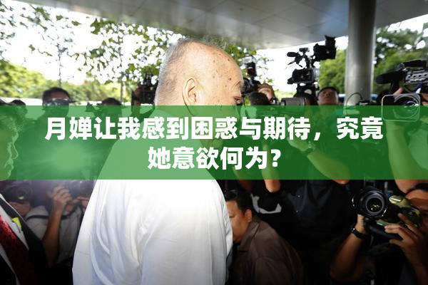 月婵让我感到困惑与期待，究竟她意欲何为？