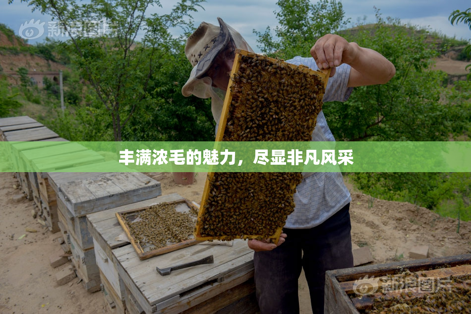 丰满浓毛的魅力，尽显非凡风采