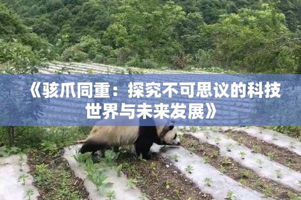 《骇爪同重：探究不可思议的科技世界与未来发展》