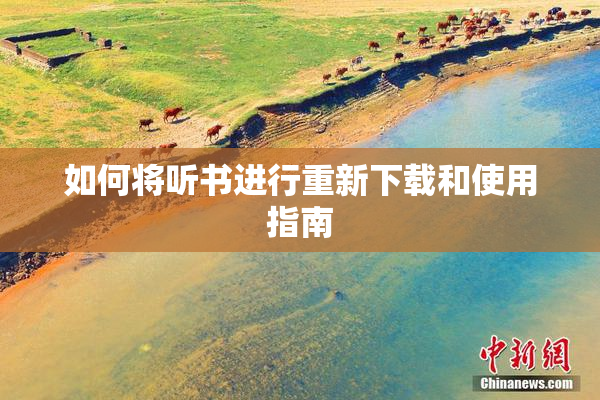 如何将听书进行重新下载和使用指南