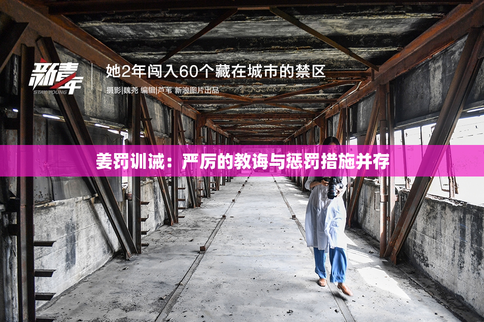 姜罚训诫：严厉的教诲与惩罚措施并存