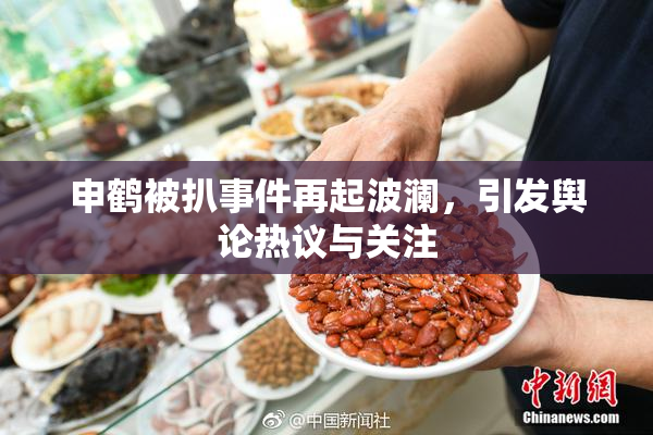 申鹤被扒事件再起波澜，引发舆论热议与关注