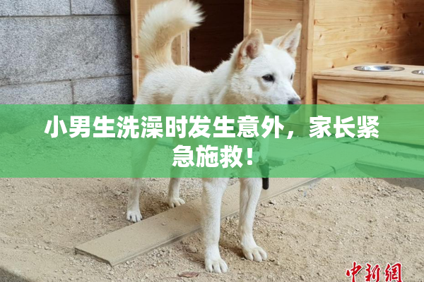 小男生洗澡时发生意外，家长紧急施救！