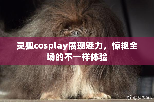 灵狐cosplay展现魅力，惊艳全场的不一样体验