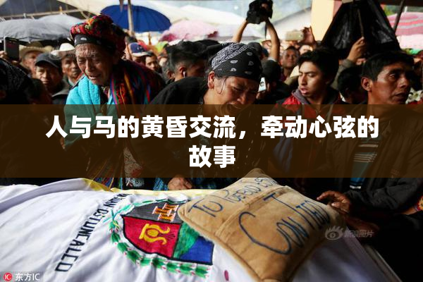人与马的黄昏交流，牵动心弦的故事