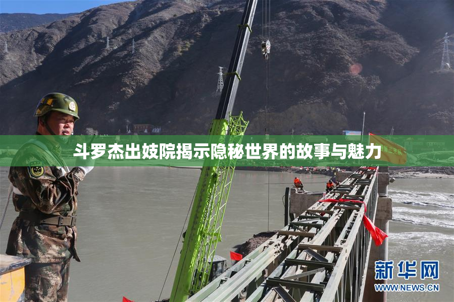 斗罗杰出妓院揭示隐秘世界的故事与魅力