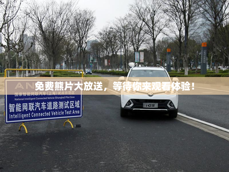 免费熊片大放送，等待你来观看体验！