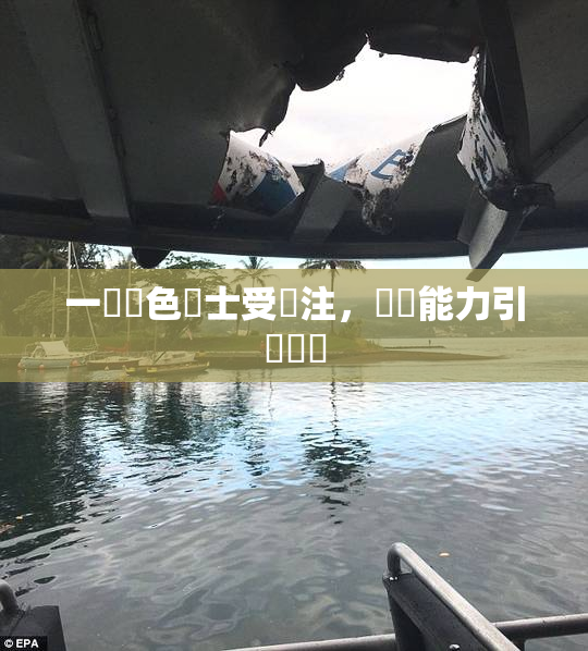 一級黃色護士受關注，專業能力引發熱議