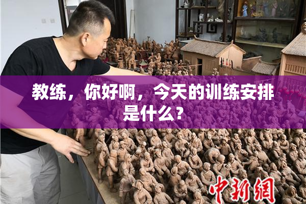 教练，你好啊，今天的训练安排是什么？