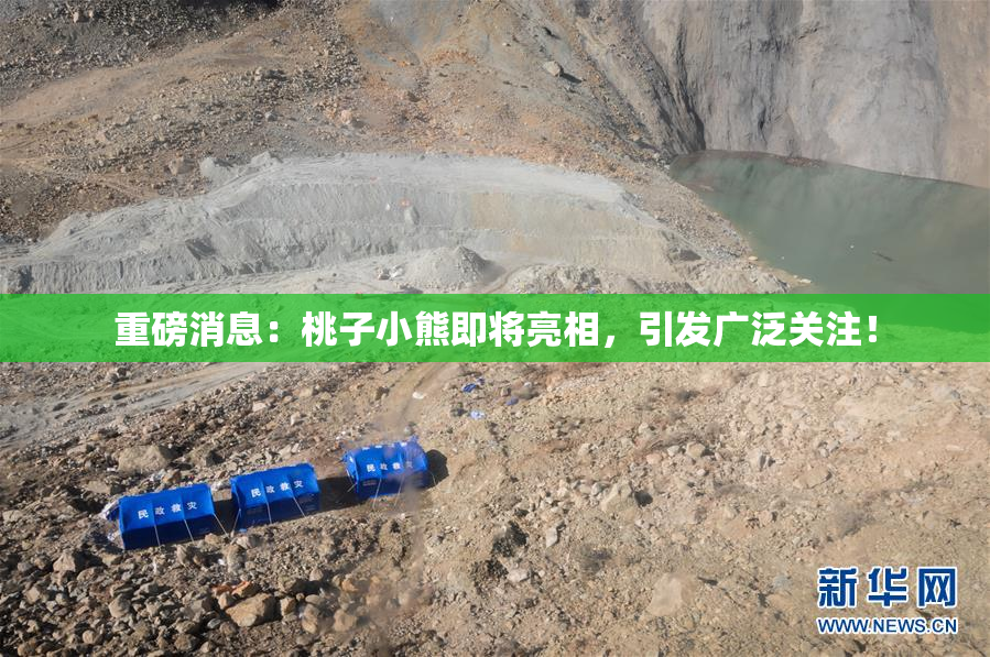 重磅消息：桃子小熊即将亮相，引发广泛关注！