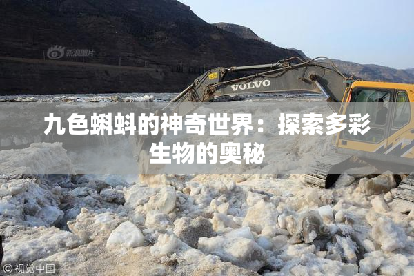 九色蝌蚪的神奇世界：探索多彩生物的奥秘