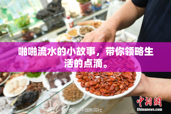 啪啪流水的小故事，带你领略生活的点滴。