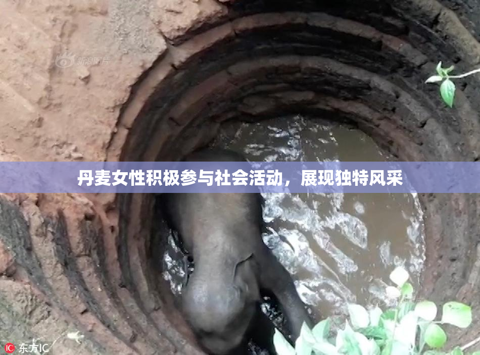 丹麦女性积极参与社会活动，展现独特风采