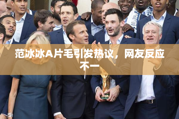 范冰冰A片毛引发热议，网友反应不一
