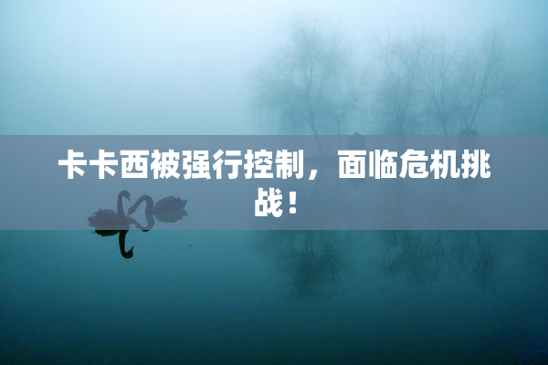卡卡西被强行控制，面临危机挑战！
