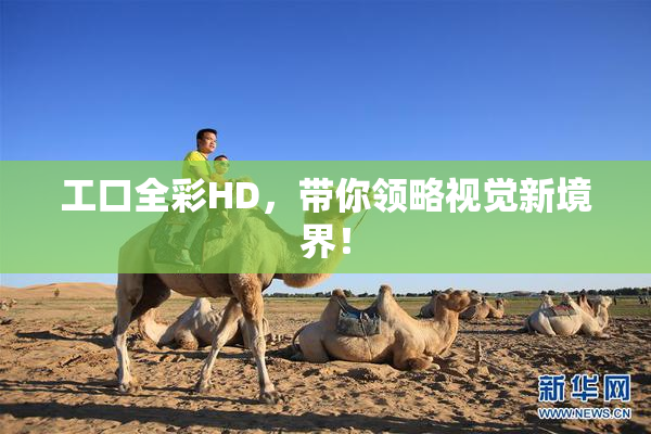 工口全彩HD，带你领略视觉新境界！