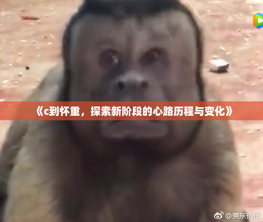 《c到怀重，探索新阶段的心路历程与变化》