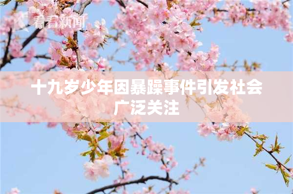 十九岁少年因暴躁事件引发社会广泛关注