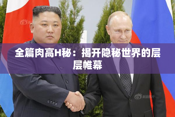 全篇肉高H秘：揭开隐秘世界的层层帷幕