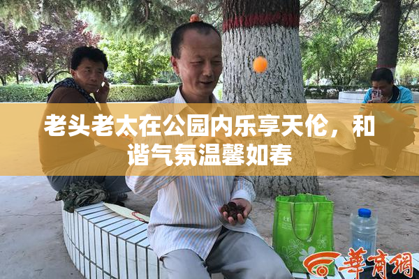老头老太在公园内乐享天伦，和谐气氛温馨如春