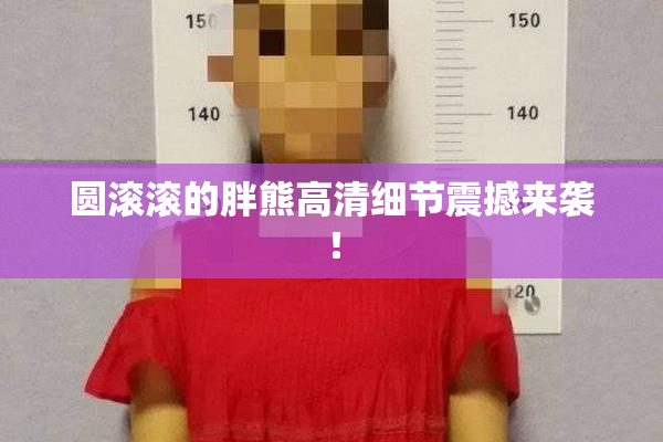 圆滚滚的胖熊高清细节震撼来袭！