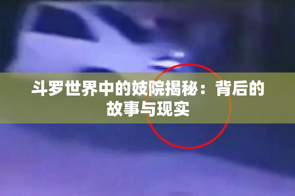 斗罗世界中的妓院揭秘：背后的故事与现实