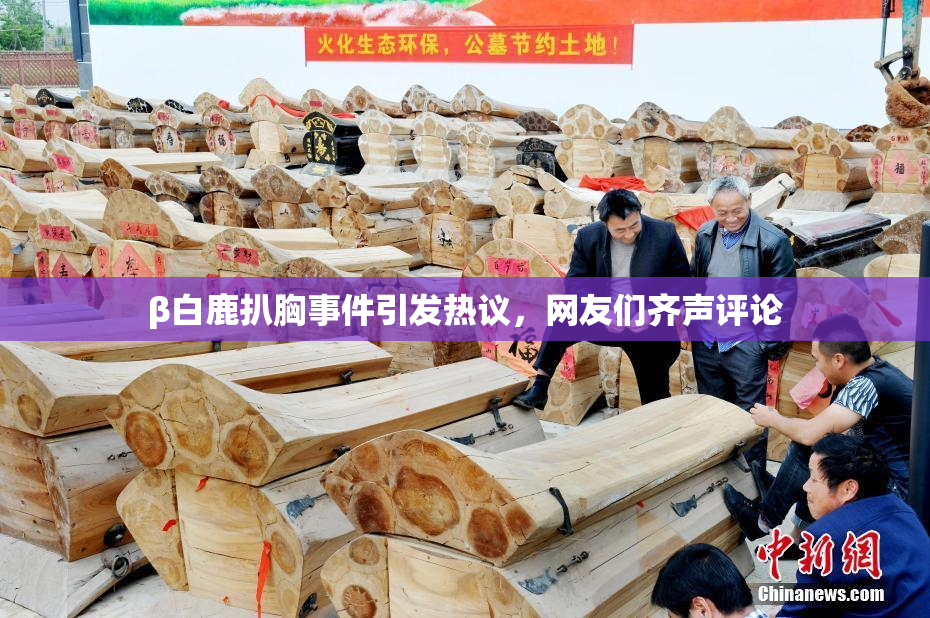 β白鹿扒胸事件引发热议，网友们齐声评论