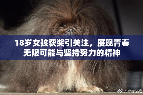 18岁女孩获奖引关注，展现青春无限可能与坚持努力的精神
