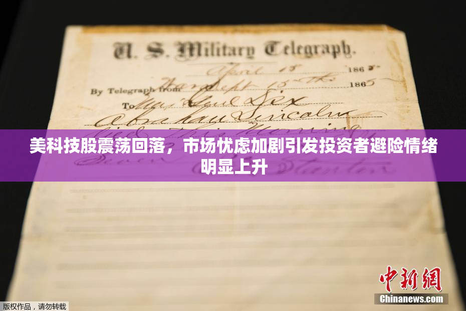 美科技股震荡回落，市场忧虑加剧引发投资者避险情绪明显上升