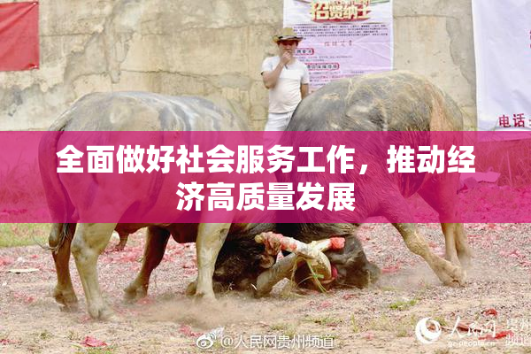 全面做好社会服务工作，推动经济高质量发展