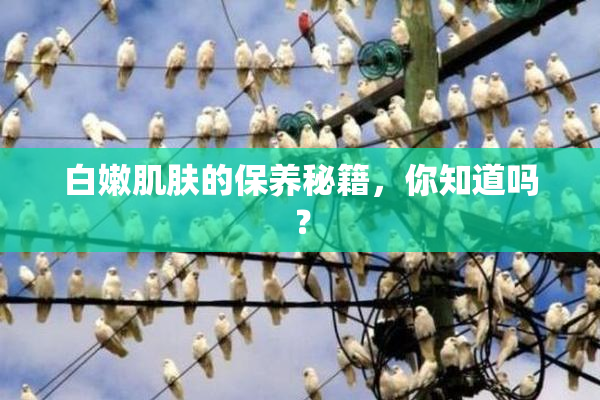 白嫩肌肤的保养秘籍，你知道吗？