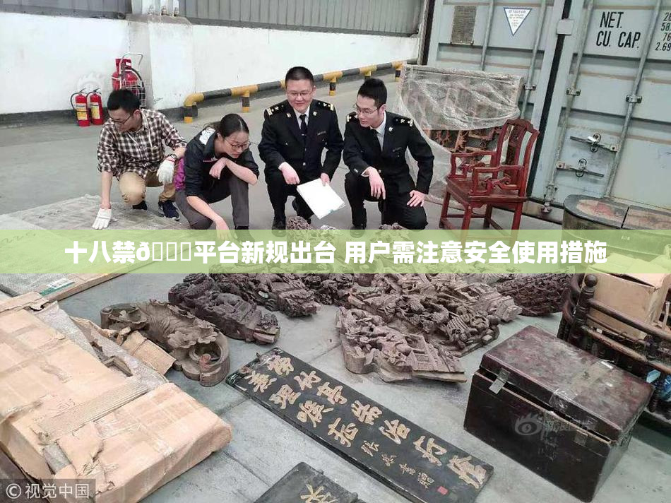 十八禁🔞平台新规出台 用户需注意安全使用措施