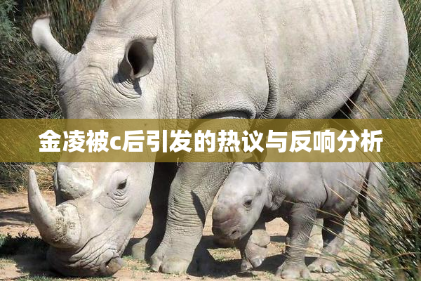 金凌被c后引发的热议与反响分析