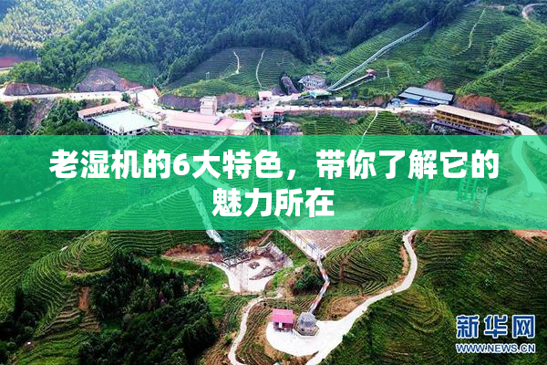 老湿机的6大特色，带你了解它的魅力所在