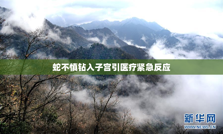 蛇不慎钻入子宫引医疗紧急反应