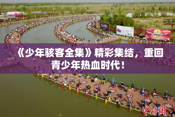 《少年骇客全集》精彩集结，重回青少年热血时代！
