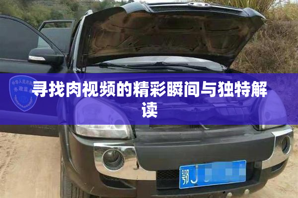 寻找肉视频的精彩瞬间与独特解读