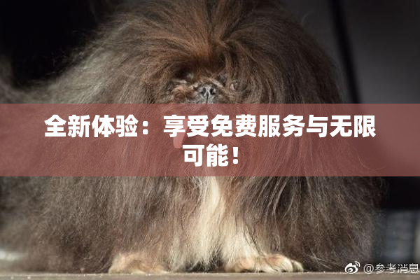 全新体验：享受免费服务与无限可能！