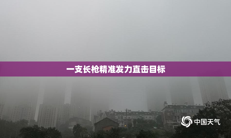 一支长枪精准发力直击目标