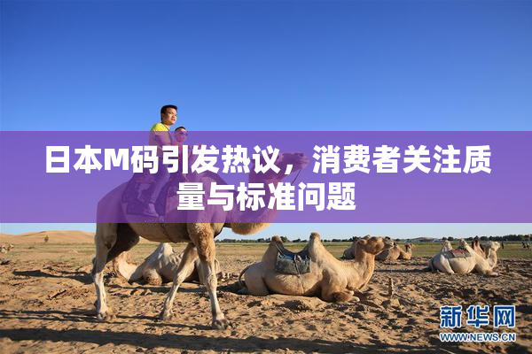 日本M码引发热议，消费者关注质量与标准问题