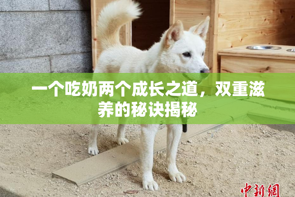 一个吃奶两个成长之道，双重滋养的秘诀揭秘