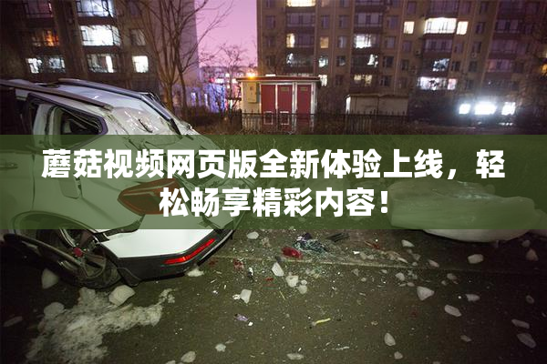 蘑菇视频网页版全新体验上线，轻松畅享精彩内容！